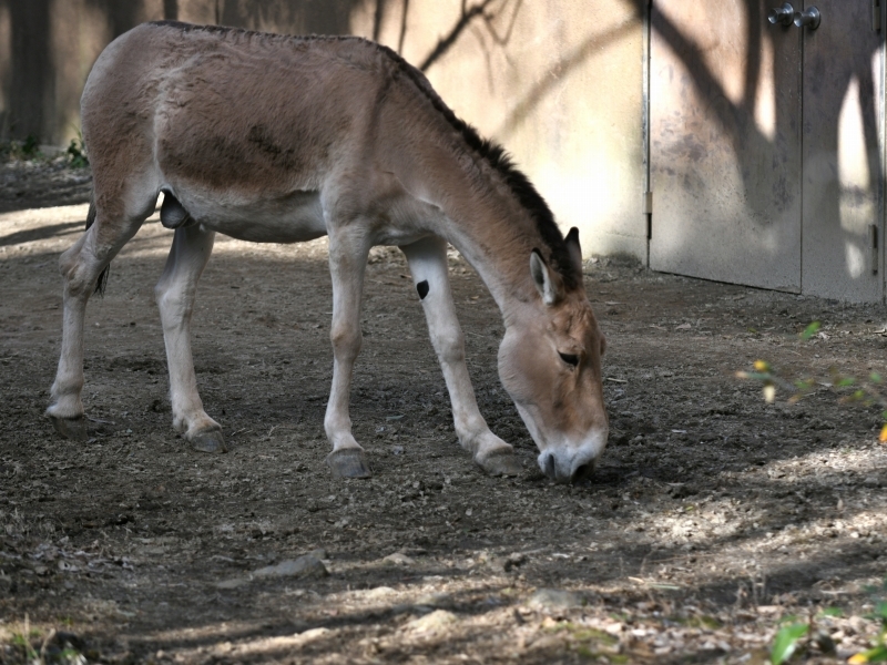 a0164204_13021423.jpg