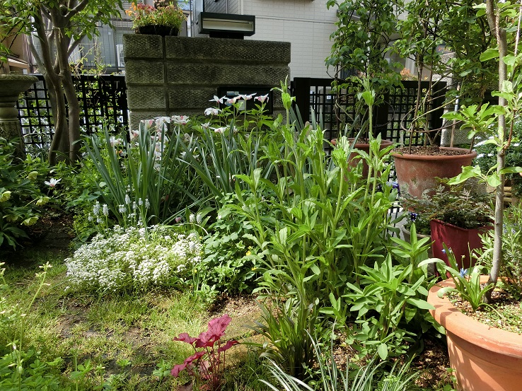 e0234004_21533549.jpg
