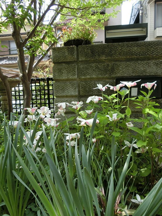 e0234004_21541042.jpg