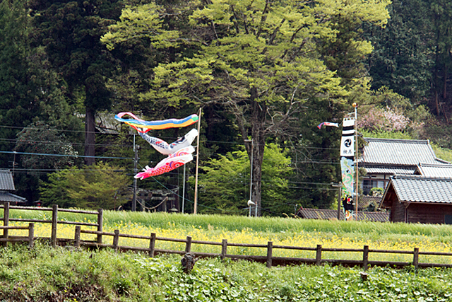 b0014607_22301271.jpg