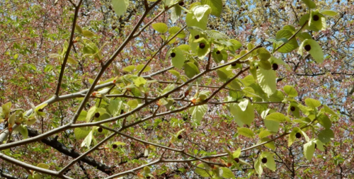 f0231709_10144115.png