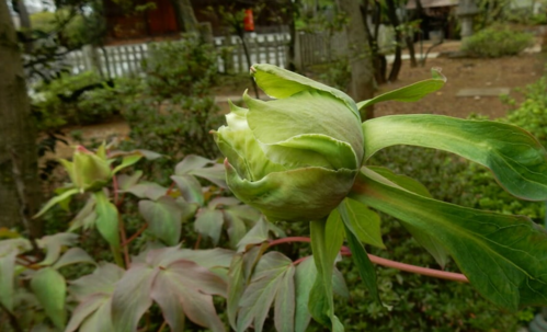 f0231709_1095760.png