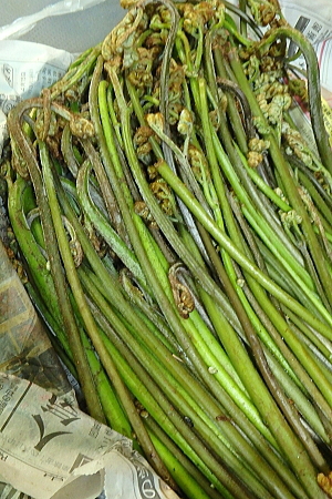 f0368610_19375985.jpg