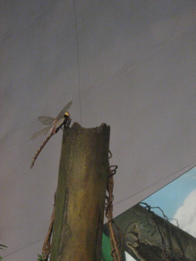 c0062511_22185498.jpg