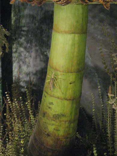 c0062511_22203872.jpg