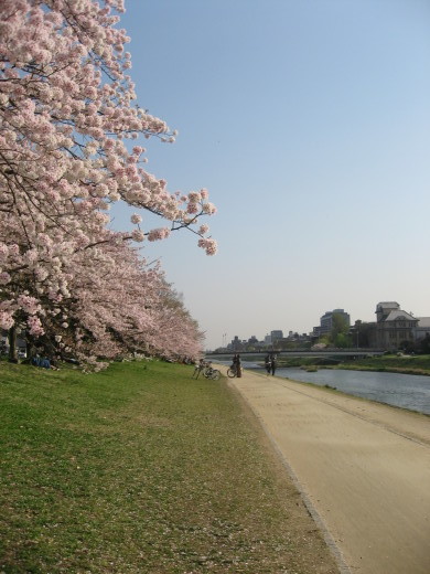 c0062511_23011836.jpg