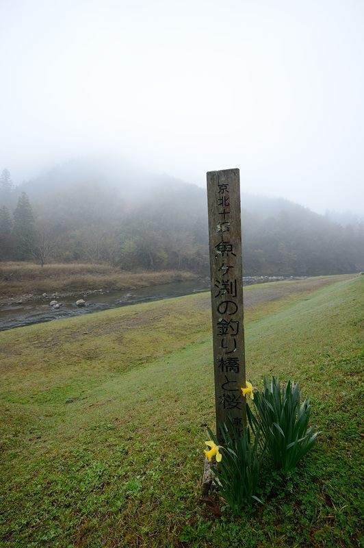 f0032011_20045062.jpg