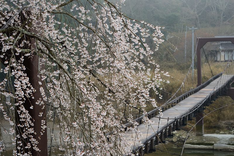 f0032011_20045158.jpg