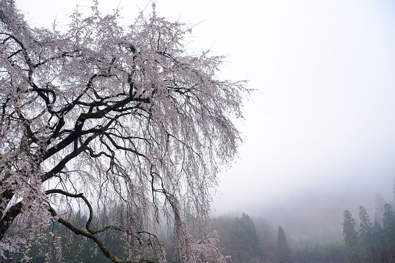 f0032011_20111284.jpg