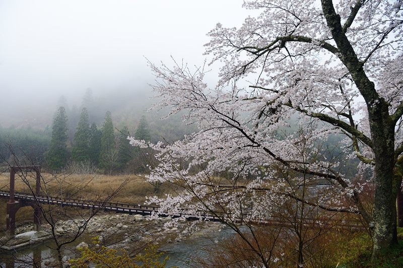 f0032011_20123922.jpg