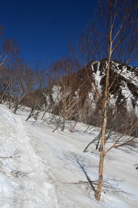 b0223512_00084405.jpg