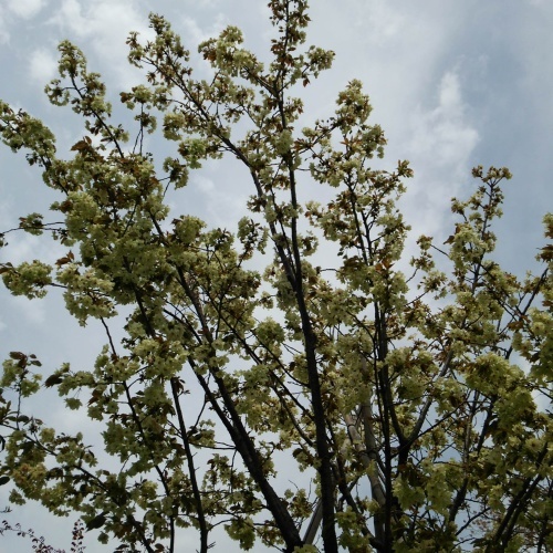 f0030814_13561182.jpg