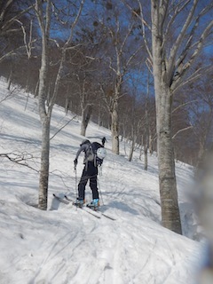 c0359615_21364047.jpg
