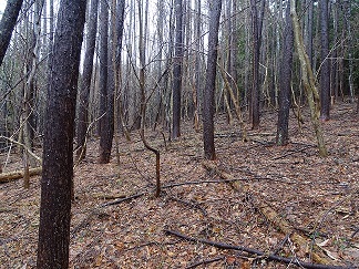 f0360815_16385298.jpg