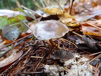 f0360815_16385311.jpg