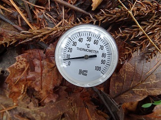 f0360815_16385319.jpg