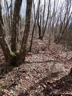 f0360815_16444654.jpg