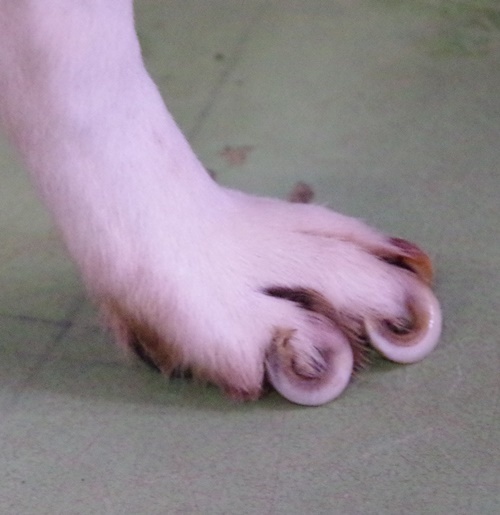 f0078320_22105117.jpg