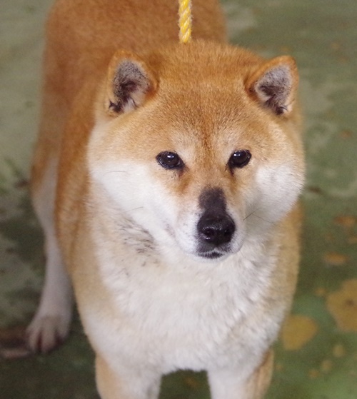 f0078320_23090508.jpg