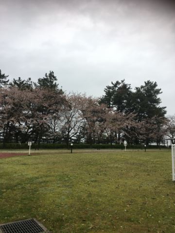 c0114121_1301880.jpg