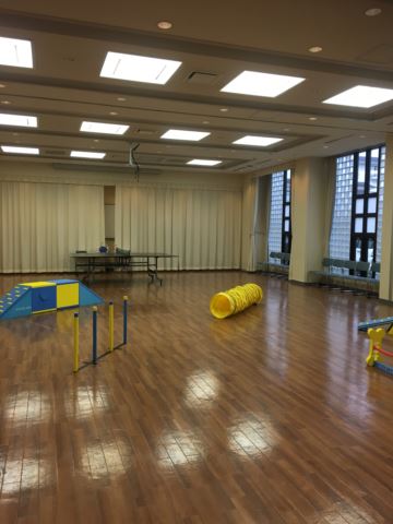 c0114121_1585037.jpg