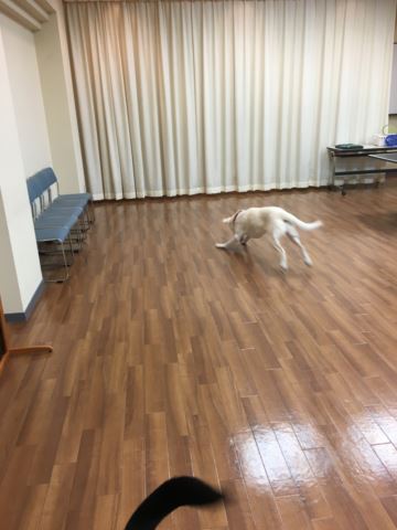 c0114121_2191527.jpg