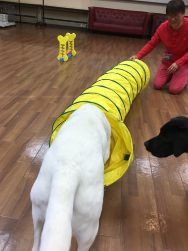 c0114121_2273440.jpg