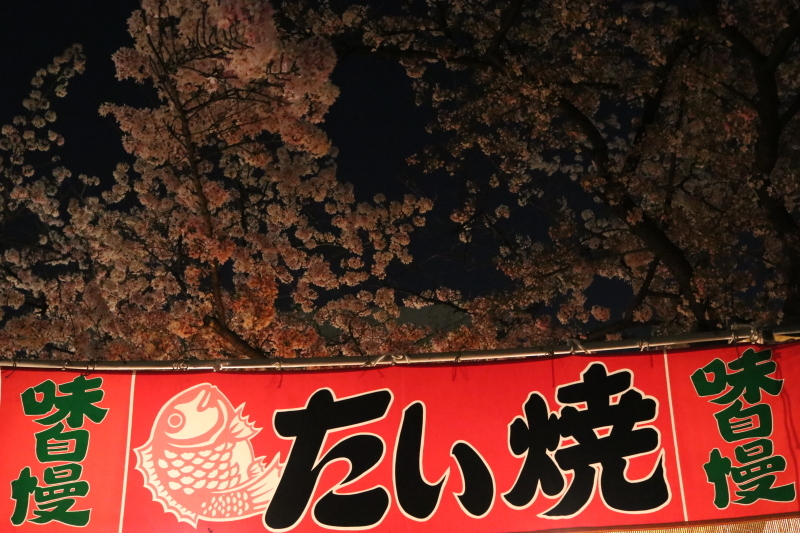 f0209122_19270777.jpg