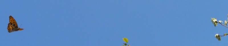 c0369423_22444409.jpg