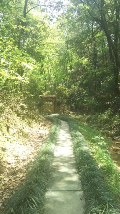 a0169924_20425500.jpg