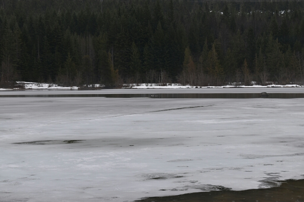 c0264425_13163699.jpg