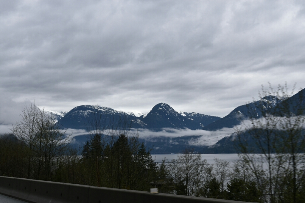 c0264425_13171775.jpg
