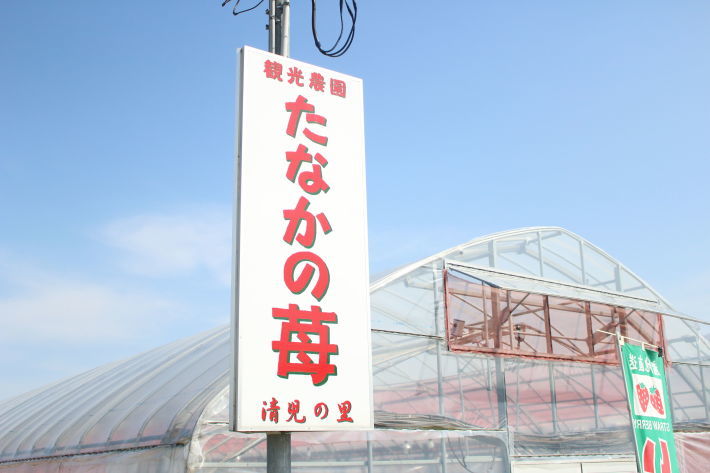 d0028325_17532515.jpg