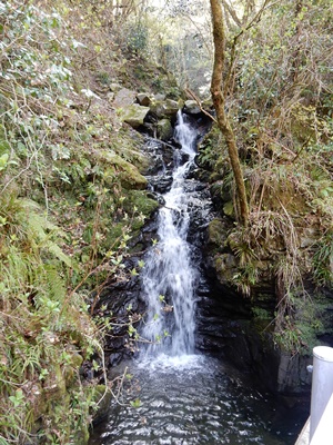 e0033229_1901389.jpg