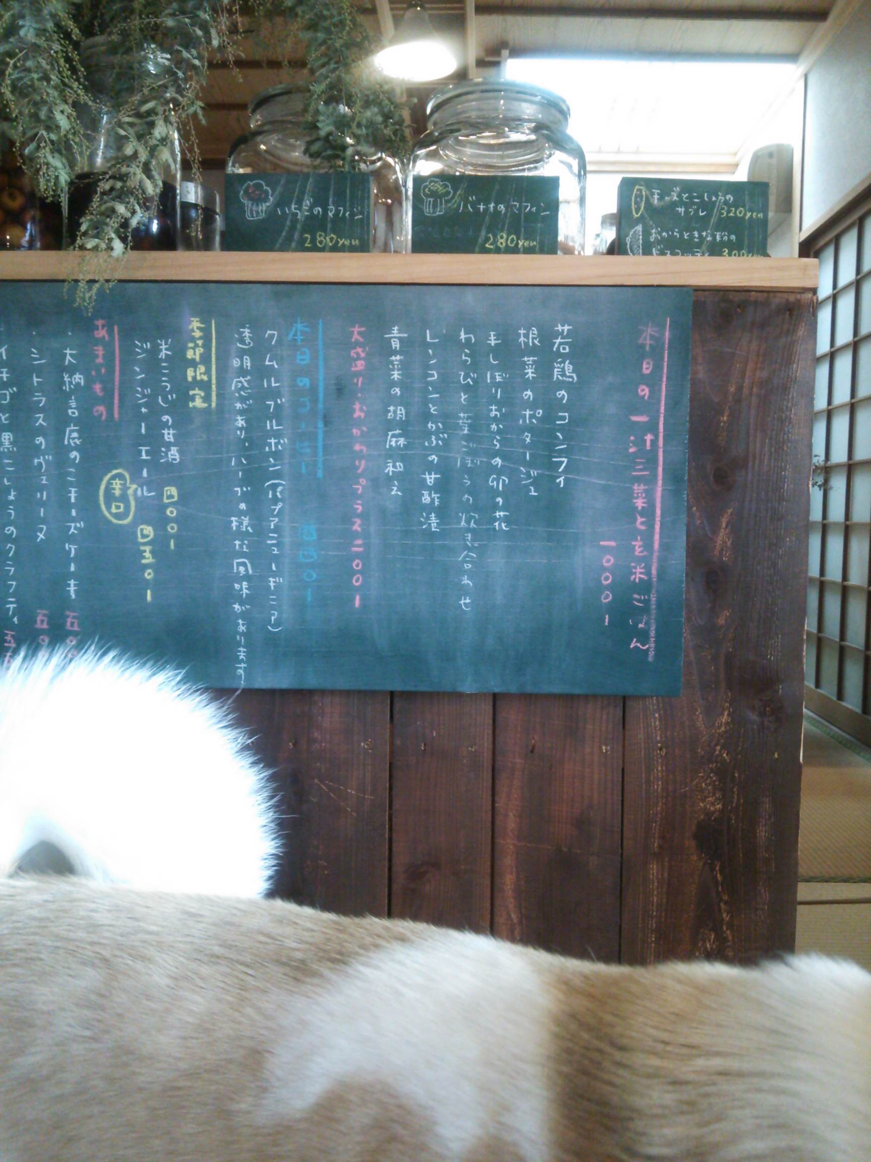 a0334731_16512517.jpg