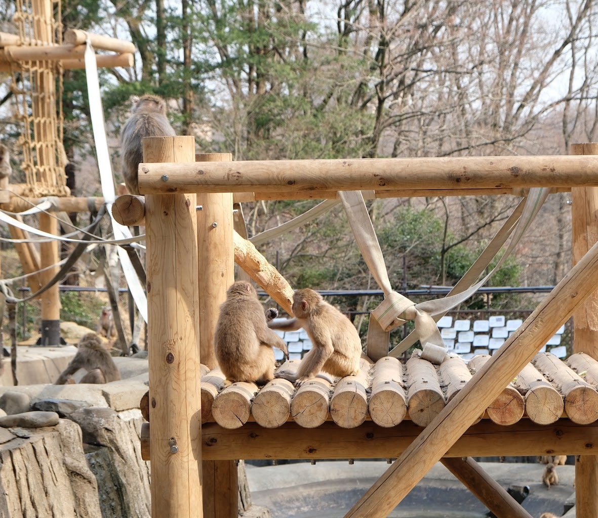 b0024832_01215915.jpg