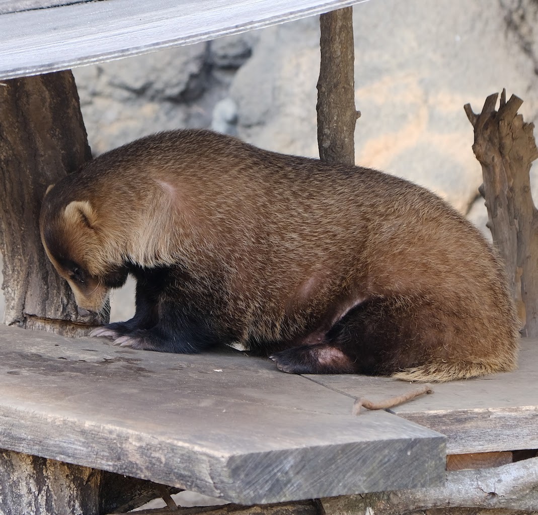 b0024832_01262700.jpg