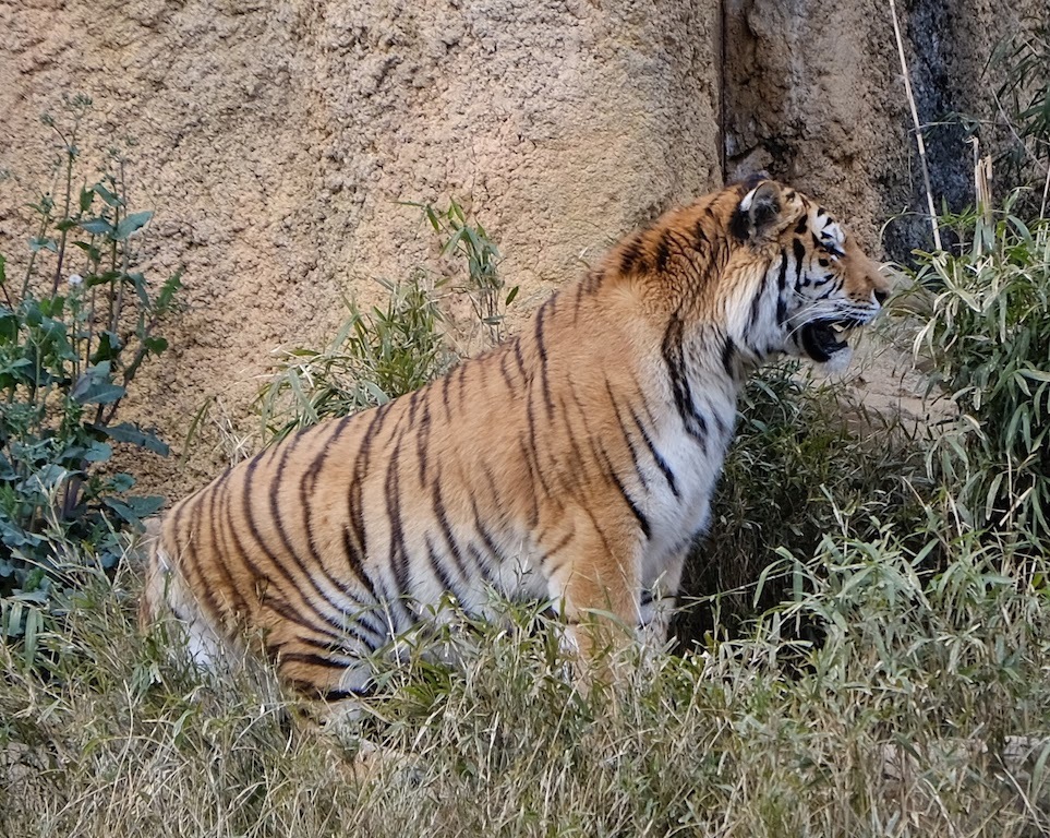 b0024832_01292616.jpg