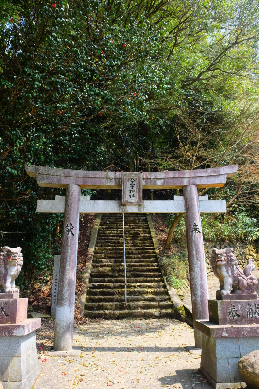 f0323833_12262891.jpg