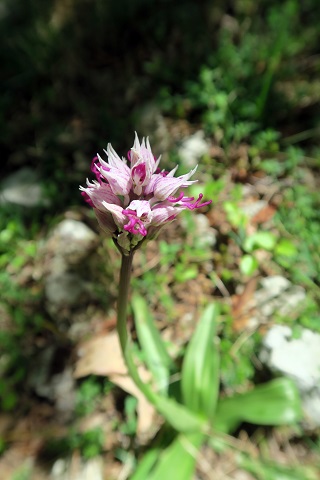 f0234936_7224791.jpg