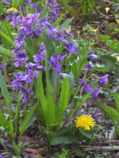 c0056437_9304460.jpg