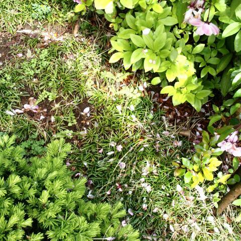 f0360238_10110913.jpg