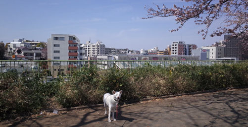 a0117039_2324249.jpg