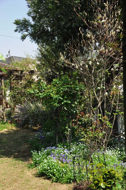 b0075541_2159175.jpg