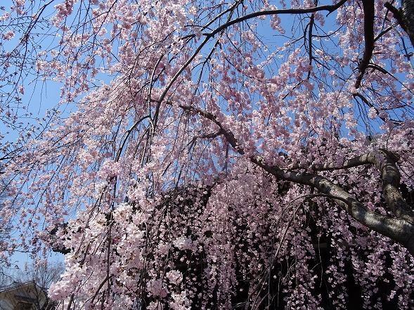 b0299042_16252353.jpg