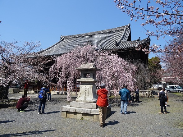 b0299042_16264532.jpg