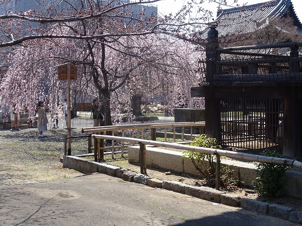 b0299042_16265077.jpg