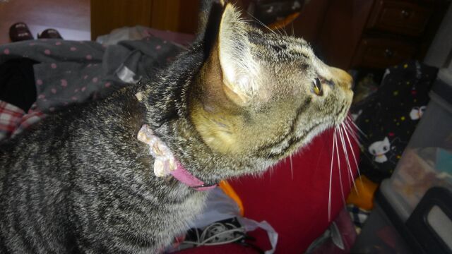c0194042_21091818.jpg
