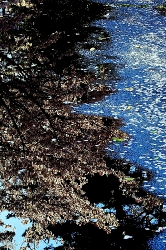 b0314043_21283605.jpg