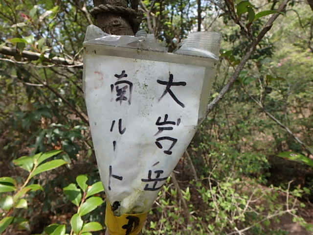 f0334143_8443315.jpg